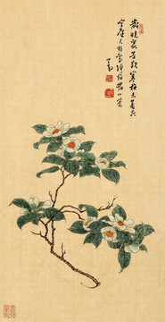 溥儒 花哇絹 未分層