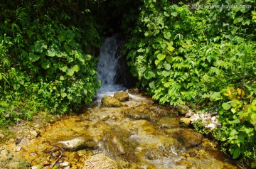 山泉水 溪水