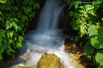 山泉水 溪水