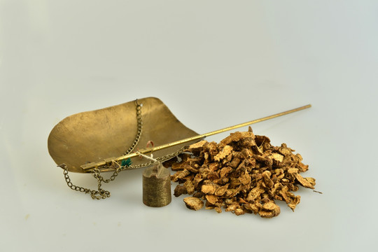 蒼術(shù)