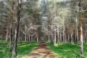 電腦畫 松林小路