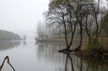 湖边秋树