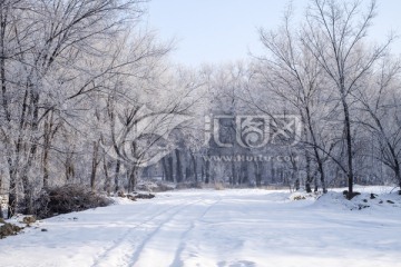 雪景