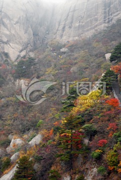 山岳风光 栈道 绝壁秋色