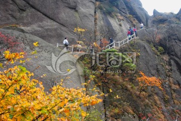 山岳風光 棧道 絕壁秋色