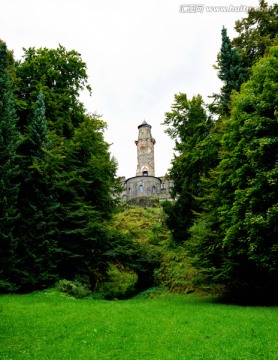 绿树丛中的城堡