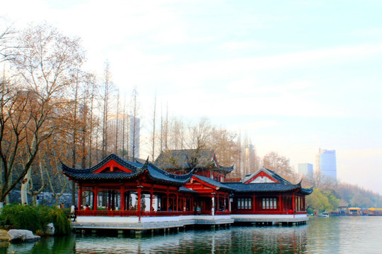 南京玄武湖公园风光 冬日