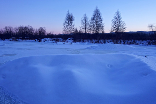 冰河树林雪景