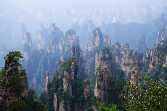 张家界风景区群峰