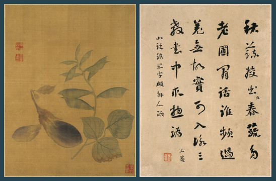 惲壽平 花卉圖冊(cè)