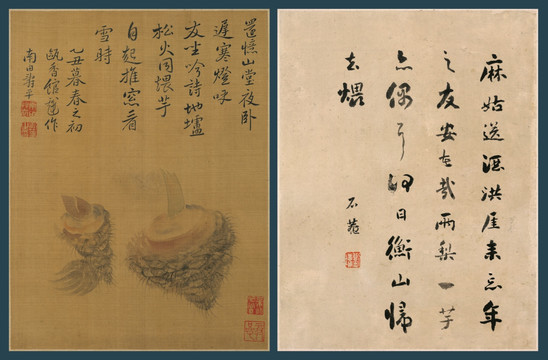 惲壽平 花卉圖冊(cè)