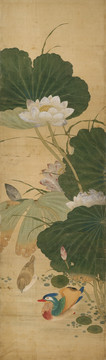 花鳥國畫