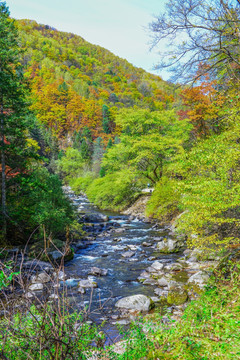 长白山风景