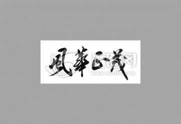風(fēng)華正茂