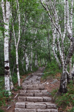 北京百花山风景区