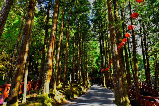 台湾阿里山风光