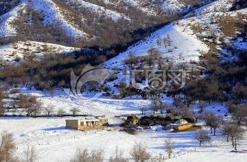 福寿山冬景 雪山 冬景