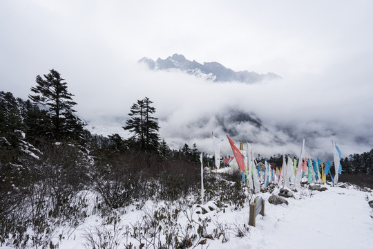 海螺沟冬季景色 风马旗 经幡