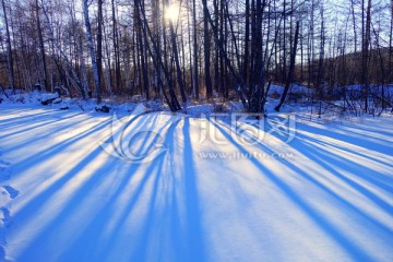 森林雪景光影