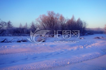 雪原树林朝阳