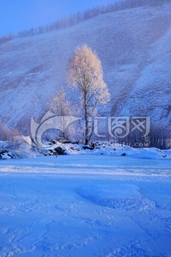 林海雪原雾凇