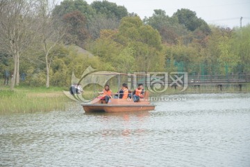 划船游湖