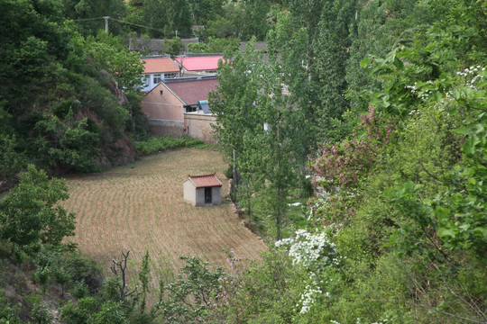 山村