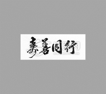 壽善同行