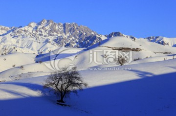 守望天山 雪山 天山