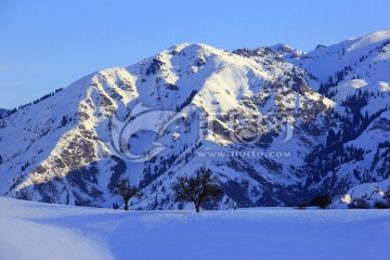 天山 雪山 福寿山