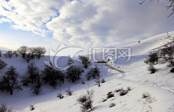 雪山 天山 冬景 雪峰