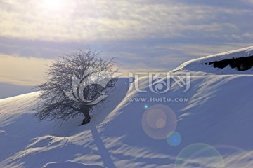 独树 雪山落日