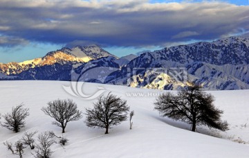 守望天山 雪山 天山