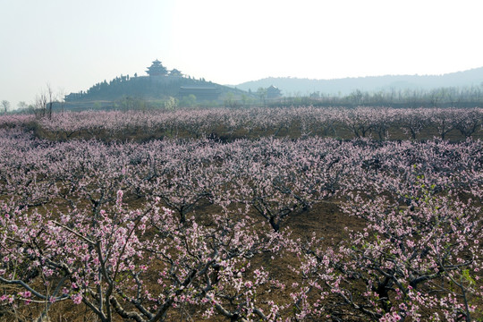 田园风光