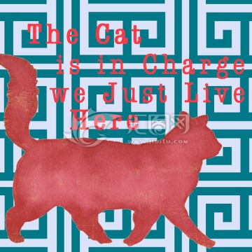 狗 貓 動(dòng)物 寵物 犬
