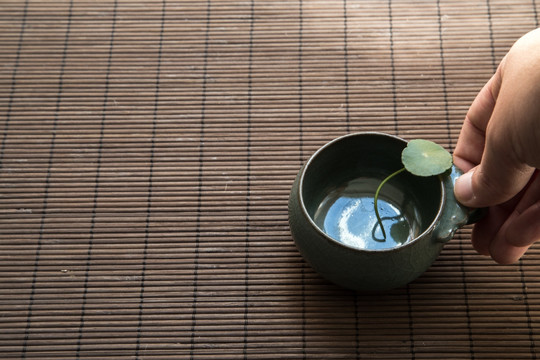 茶杯