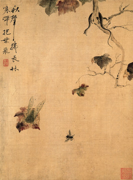 惲壽平 花鳥草蟲圖八開 未分層