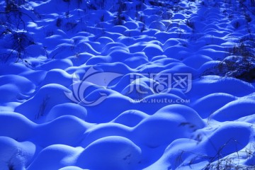 雪景