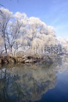 雪景