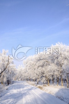 雪景