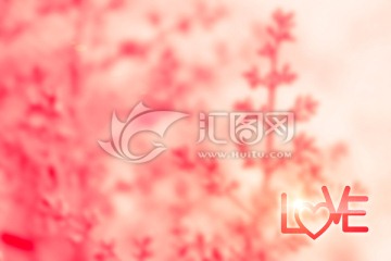 情人節(jié) Love