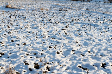 冬天 雪 原野 田野 冷色 冰