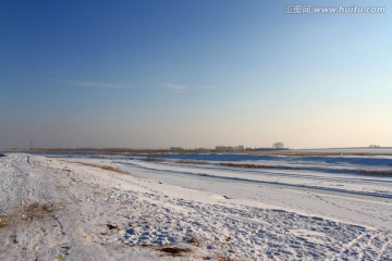 冬天 雪 柴 原野 田野 冷色