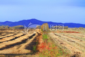 秋季田野