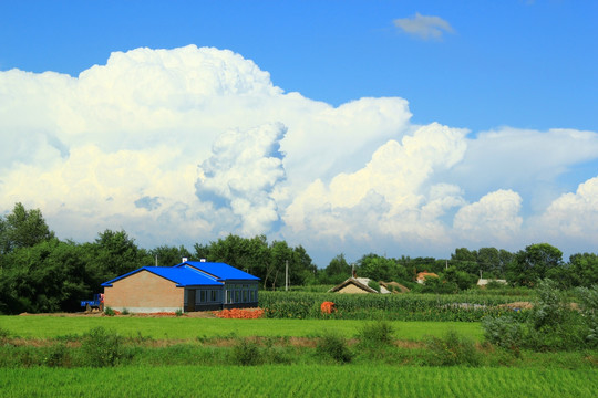 蓝天白云下的农庄