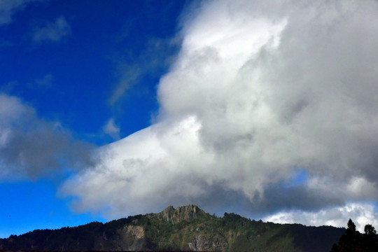 台湾阿里山风光