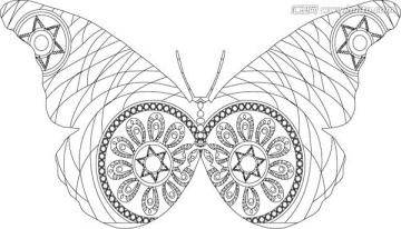 蝴蝶 秘密花园 线稿 装饰画