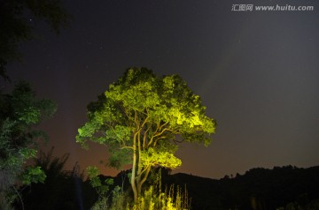 夜空 星空 树木