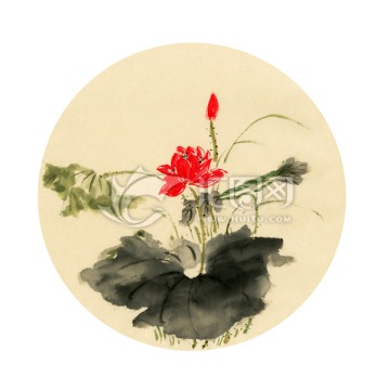 國畫荷花