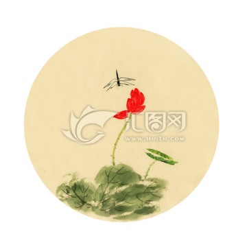 禪意荷花